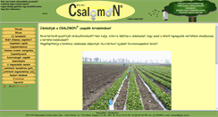 Desktop Screenshot of csalomoncsapdak.hu
